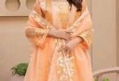 3 Pcs Embroidered Organza Unstitched Suit