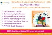 Data Analyst Course, 110040, Top Google Rated