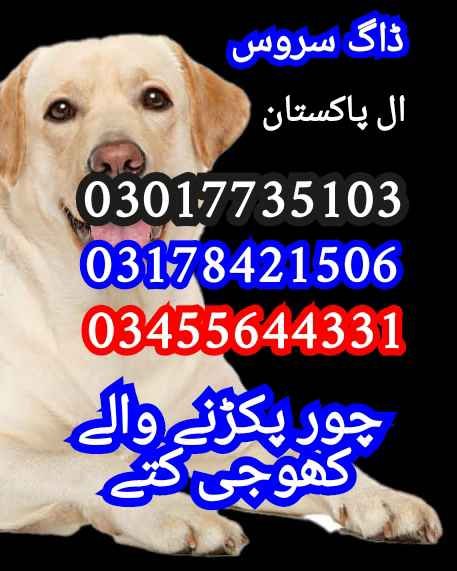 Army dog center 03010417477