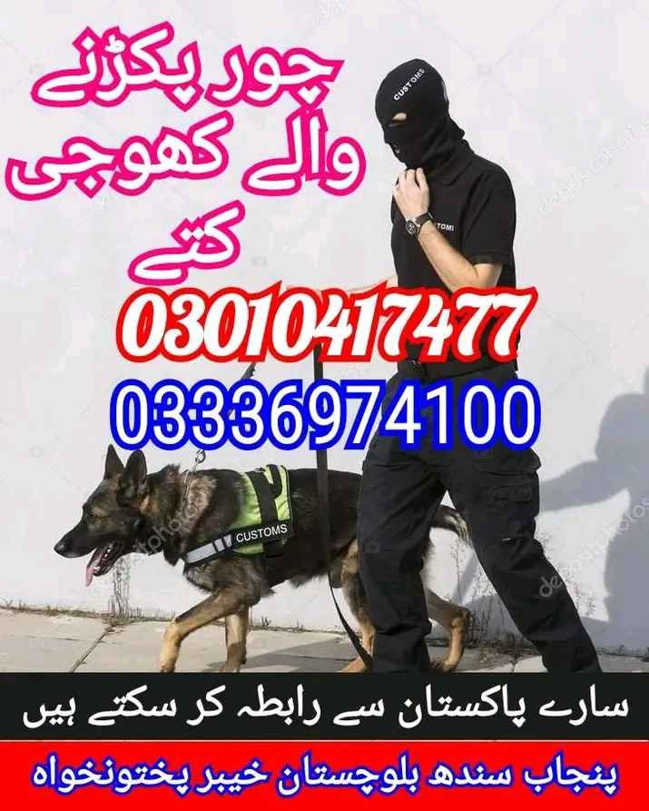 Army dog center 03010417477