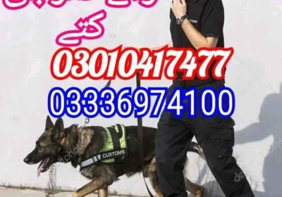 ff8e6013d3bf52f1e8d1ccfca201a7bb1ca0fa3bae0ea293fc89c6fe9fc298cc.0-1